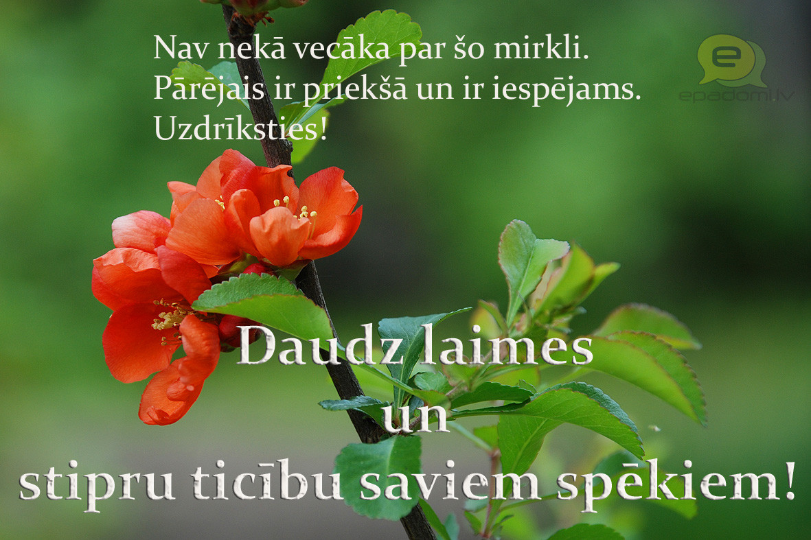 apsveikumi dzimsanas diena