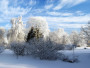 Foto iesūtīja: Igors Suhoverhovs