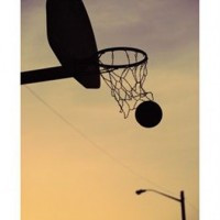 Basket Sportist