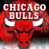 bulls