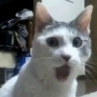 NormundsSejejs_Highlights