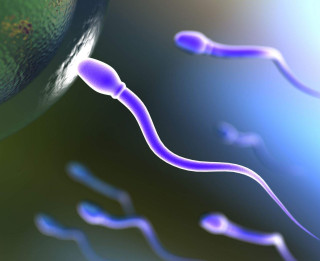 12 neparasti mīti par spermu. Uzzini, kas ir patiesība un kas- izdoma