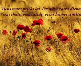 Tava vārda skaidrojums (nozīme) un ietekme uz tavu likteni. 1.oktobris- Lāsma, Zanda, Zandis