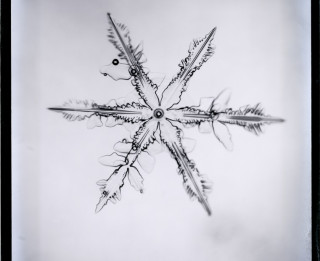Sniega kristāli un elektriskās dzirksteles japāņu fiziķa Ukičiro Nakajas eksperimentu laikā tapušajās fotogrāfijās