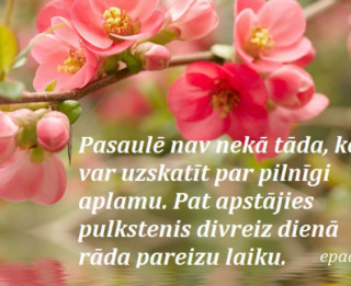 Tava vārda skaidrojums (nozīme) un ietekme uz tavu likteni. 31. oktobris - Rinalda, Rinalds, Valts