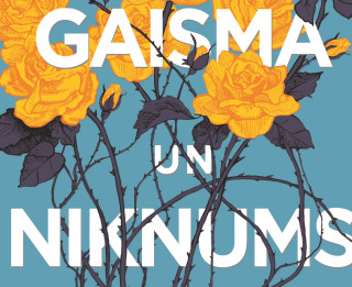 Iznācis Lorinas Grofas romāns “Gaisma un niknums”
