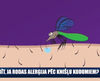 Video: Ko darīt, ja rodas alerģija pēc kukaiņu kodumiem?