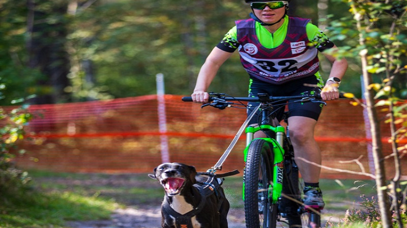 Divu uzvaru izcīnītāja ELīna Klindžāne (Dog Sport Carnikava). Foto: Liesma Sakoviča.