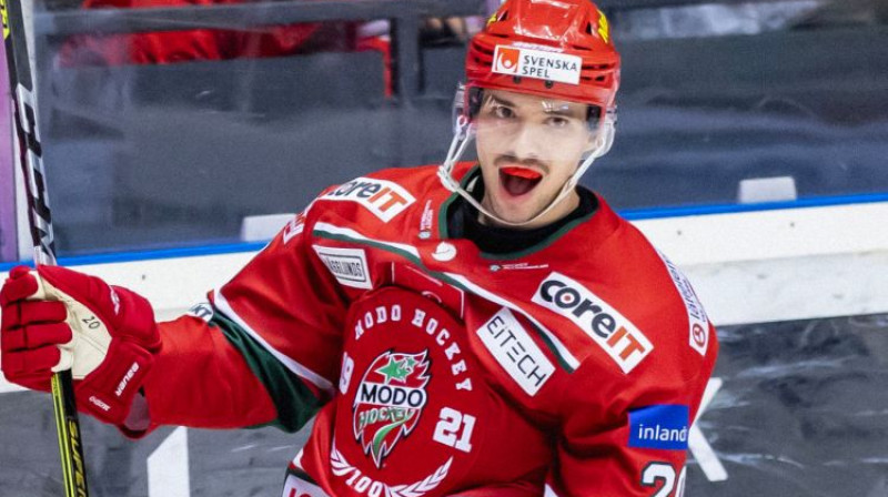 Nikolajs Jeļisejevs. Foto: Mattias Mårdner / hockeyallsvenskan.se