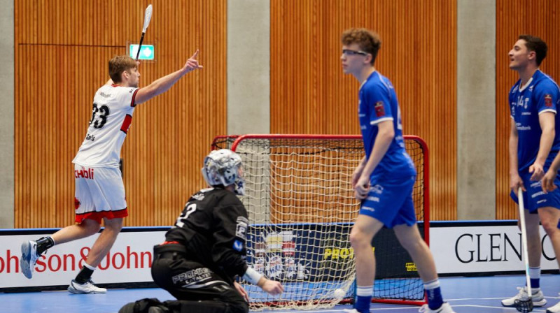 Daniels Jānis Anis gūst jau savus 23. vārtus šajā sezonā, foto: Zug United