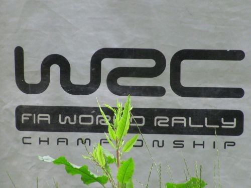 WRC plāno ieviest jaunu piramīdas sistēmu