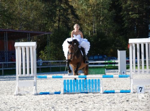 Jāšanas sporta sezona noslēgusies ar sacensībām "Zelta rudens 2011"