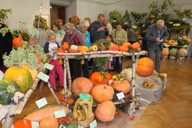 Izstāde „Ķirbis jūsu veselībai 2014”