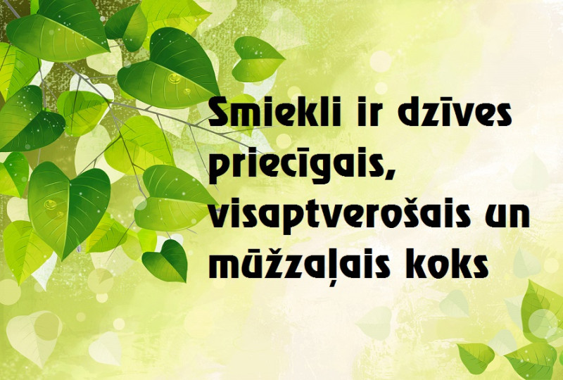 25.maija dienas horoskops sadarbībā ar astrologi.lv