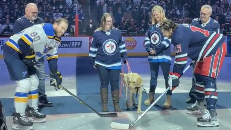 Video: Emocionāls brīdis NHL - suņuks ovāciju pavadījumā izpilda simbolisko iemetienu